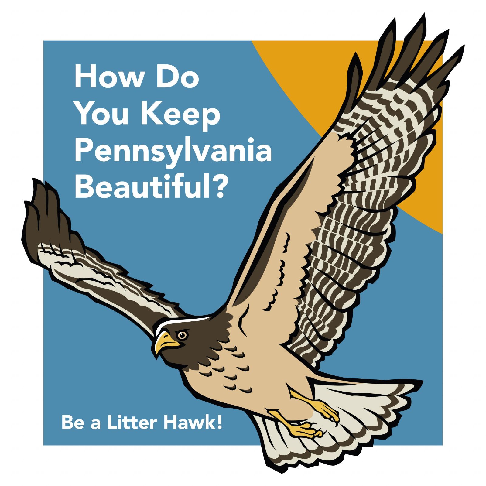 kpb%20litter%20hawk.jpg