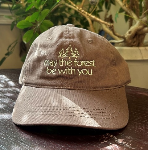 Product Description: Messages for your head and heart.</br> Baseball Caps