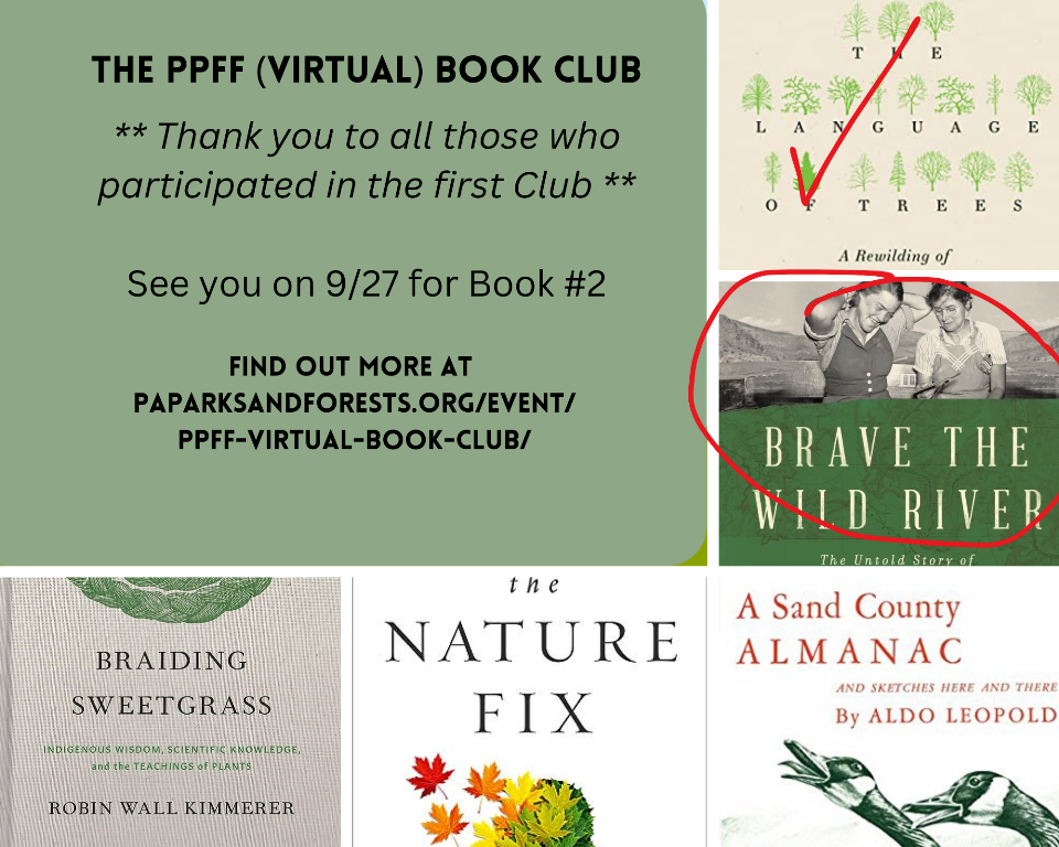 virtual%20book%20club%20one%20down.png